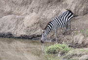 Africa-131