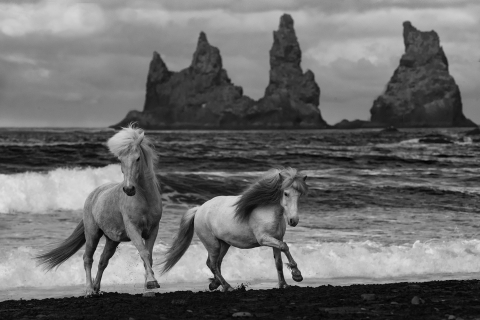 fineart-295-TwoRunataStormyBeach