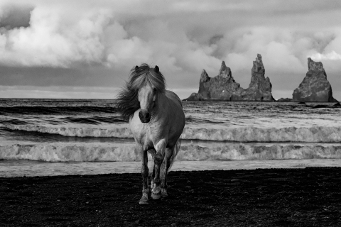 fineart-296-MareonaStormyBeach