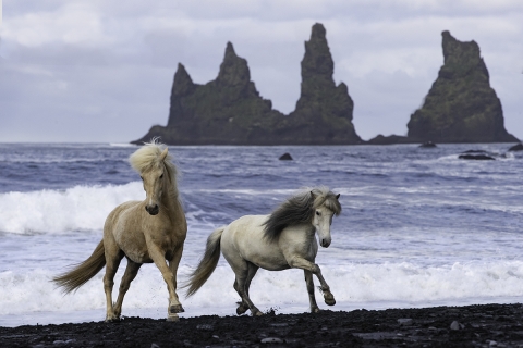 fineartcolor-410-TwoRunattheStormyBeachII