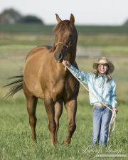 Little girl with sorrel purebred Quarter Horse gelding in Longmont, CO