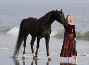 purebred Black Arbabian stallion on the beach with owner in Ojai, CA