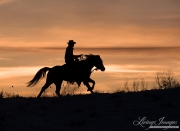 Flitner Ranch, Shell, WY, horses in winter, cowboy running his horse at sunset