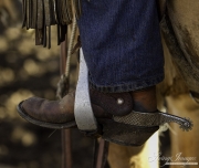 Cowboys 2012 Calendar