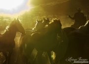 Cowboys 2012 Calendar