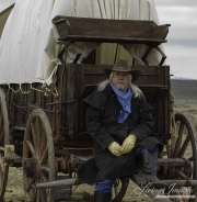 Cowboys 2012 Calendar