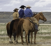 Cowboys 2012 Calendar