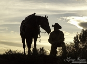 Cowboys 2012 Calendar
