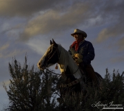 Cowboys 2012 Calendar