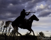 Cowboys 2012 Calendar