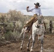 Cowboys 2012 Calendar