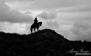 Cowboy and horse on hill during horse drive at Craig, CO