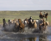 Cowboy and Cowgirl driving horses through water at Sombrero Ranch, Craig, CO