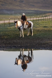Cowboy on Paint horse looking at reflection in waterhole at Sombrero Ranch, Craig, CO