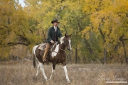 Pinto horses in a clinic with their owners at a farm in Longmont, Colorado