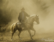 ranch horses on a ranch in Martinsdale, Montana
