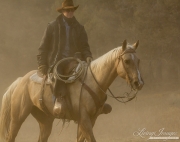 ranch horses on a ranch in Martinsdale, Montana