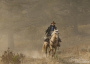 ranch horses on a ranch in Martinsdale, Montana
