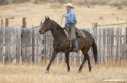 ranch horses on a ranch in Martinsdale, Montana