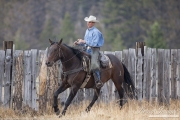 ranch horses on a ranch in Martinsdale, Montana