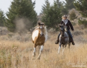 ranch horses on a ranch in Martinsdale, Montana