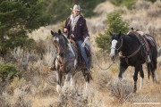 ranch horses on a ranch in Martinsdale, Montana