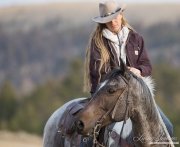 ranch horses on a ranch in Martinsdale, Montana