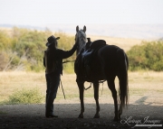 ranch horses on a ranch in Martinsdale, Montana