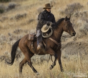 ranch horses on a ranch in Martinsdale, Montana