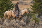 ranch horses on a ranch in Martinsdale, Montana