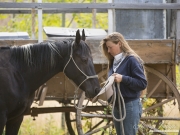 horses in a clinic with their owners at a farm in Longmont, Colorado