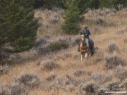 horses in a clinic with their owners at a farm in Longmont, Colorado