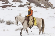 Quarter horses at a ranch in Shell, Wyoming in winter