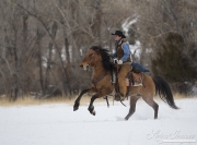 Quarter horses at a ranch in Shell, Wyoming in winter