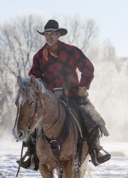 Quarter horses at a ranch in Shell, Wyoming in winter