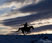 Quarter horses at a ranch in Shell, Wyoming in winter