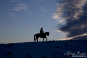 Quarter horses at a ranch in Shell, Wyoming in winter