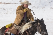 Quarter horses at a ranch in Shell, Wyoming in winter