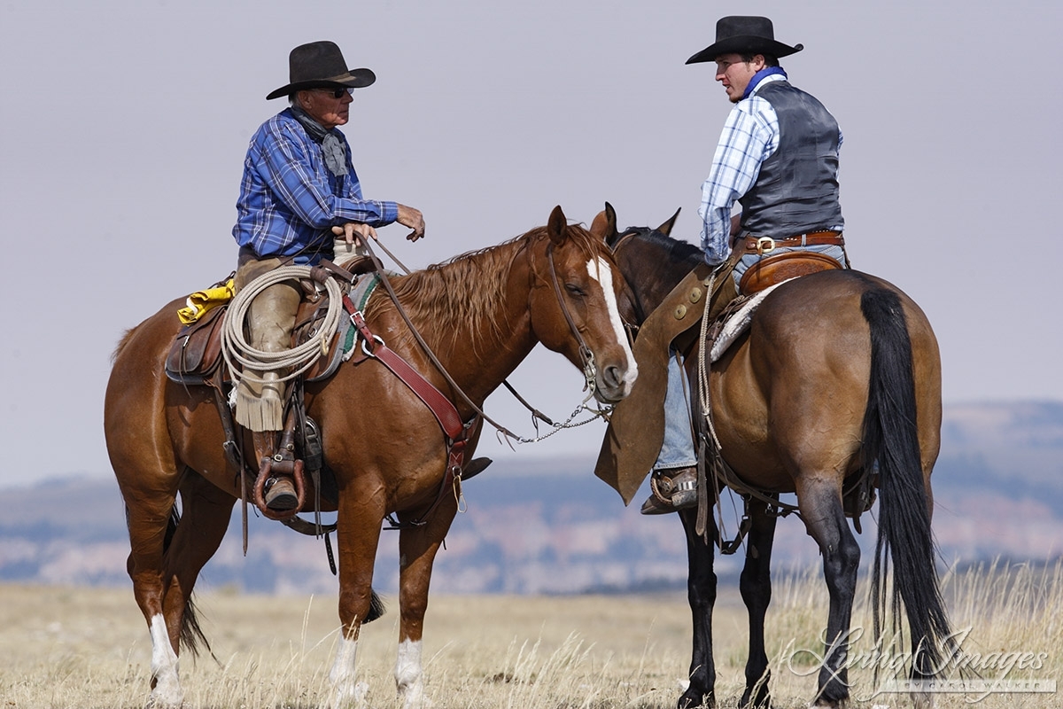 Ranch, Cowboys, Cowgirls. 