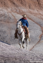 Flitner Ranch, Shell, WY - cowboy riding on painted hills