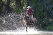 Flitner Ranch, Shell, WY - cowboy splashing through stream