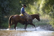 Flitner Ranch, Shell, WY - cowboy walking through stream