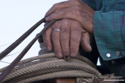 Flitner Ranch, Shell, WY - cowboy's hand on saddle holding reins
