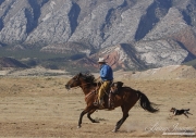 Flitner Ranch, Shell, WY - cowboy and horse running with cowdog
