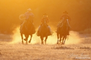 Flitner Ranch, Shell, WY - two cowboys and a cowgirl riding at a gallop at sunset