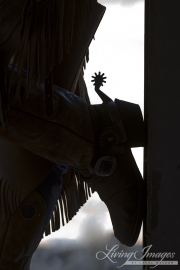 Flitner Ranch, Shell, WY - cowgirl's boot silhouette