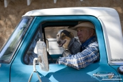 Flitner Ranch, Shell, WY - cowboy and his dog in old truck