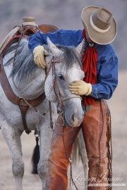 Flitner Ranch, Shell, WY - cowboy stroking his horse