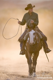 Flitner Ranch, Shell, WY - older cowboy riding with rope at sunset