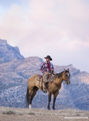 Flitner Ranch, Shell, WY - young cowboy on horse with pink hills